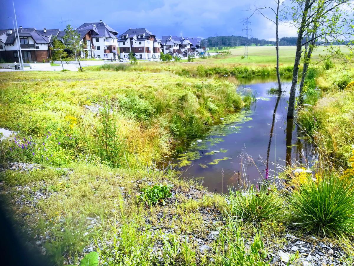 Mountain Zlatibor